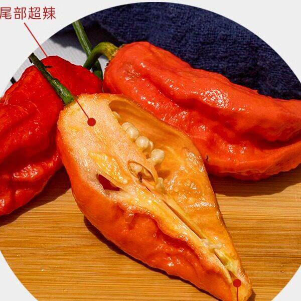 g鬼椒面魔鬼辣粉特辣100调味辣椒面蘸料云南涮涮辣椒象鼻椒辣