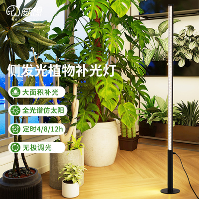 全光谱植物补光灯落地式室内无极调光仿太阳光多肉盆栽绿植生长灯