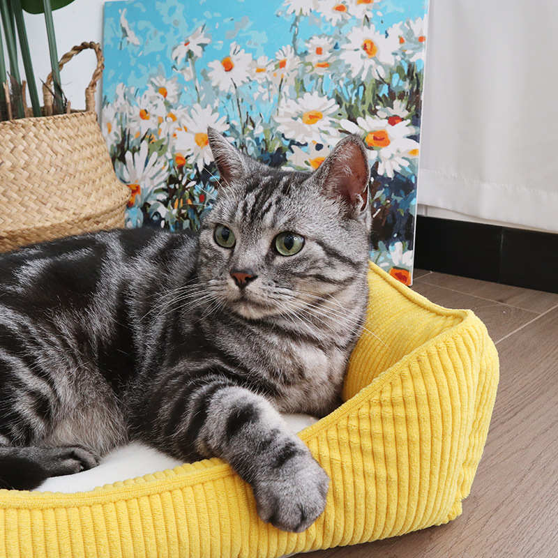 宠物床制造商批发四季通用灯芯绒方形小型中型犬狗窝加绒猫窝