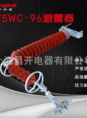 Y5CS-96户外高压氧化锌避雷器线路保护器10KV悬挂式外间隙HY5WC-9