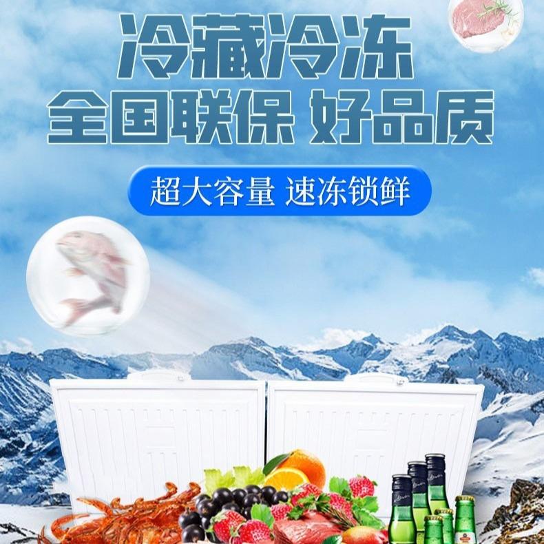 商用大容量冷柜单温双温商用冰柜冷藏冷冻柜保鲜冰箱雪糕柜