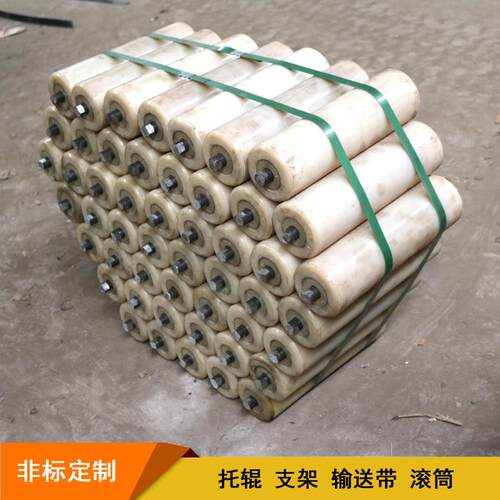 尼龙托辊源头工厂 矿山用白色改性尼龙托辊 防尘防水迷宫式尼龙辊