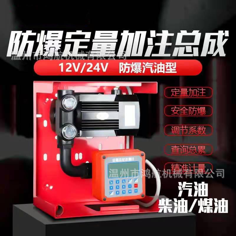1V大YTB-60功率定2量加油220V抽2油泵加注机总成4V便携柴油汽机油