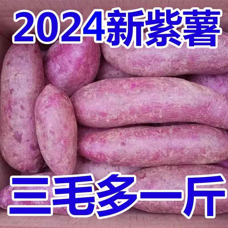 正宗沙地紫薯新鲜地瓜紫心蜜薯现挖沙地农家自种紫罗兰粉糯香甜
