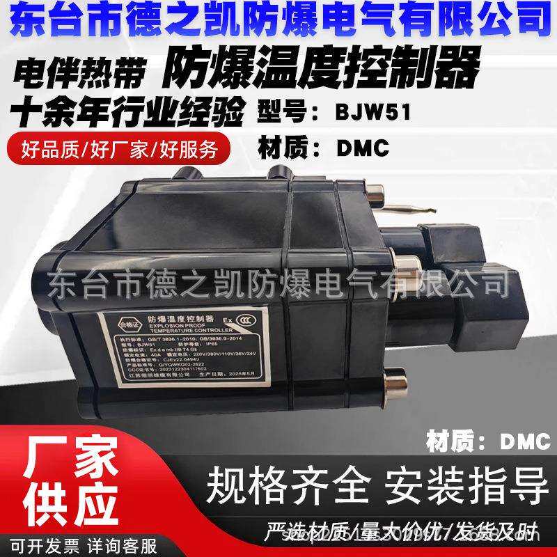 BJW51防爆电热带伴热带专用防爆温度控制器220V/380V可调温