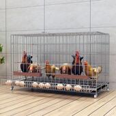 鸡笼子家用室外大号自动清粪养鸡笼鸭笼子室内小鸡鸽子笼子鸡窝笼