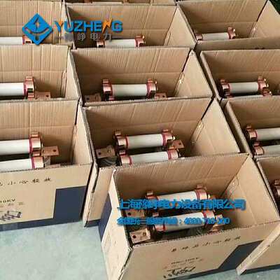 RN1 RN3-10 RN3-12/10A 15A 20A 25A 30A 40A 50A 60A高压熔断器