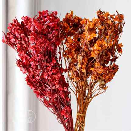 永生迎客豆蝴蝶花干花花束年宵花抱抱桶银柳冬青婚庆摆件花材