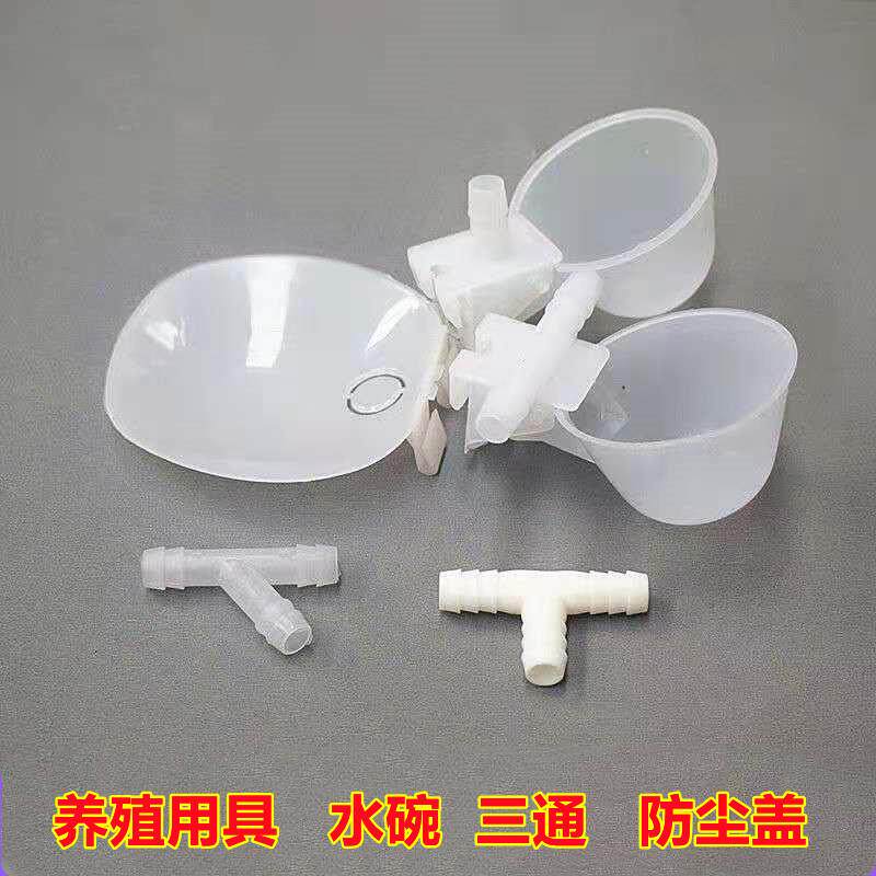 信鸽食盒挂盒饮水碗减压水箱鹌鹑水杯鸽子水碗鹦鹉鸟类自动饮水器