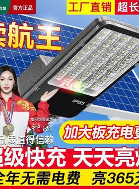 灯屋太阳能户外路灯家用庭院灯农村大功率LED防水防雷全自动路灯