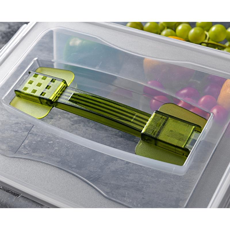 6l9箱大容量米手提格盒.4保鲜密封5l速冻盒.安立冷冻盒子盒泡菜饺