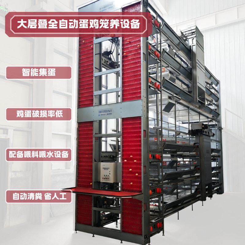 大层叠式蛋鸡龙全自动养鸡设备自动捡蛋清粪喂料饮水一体化养殖笼
