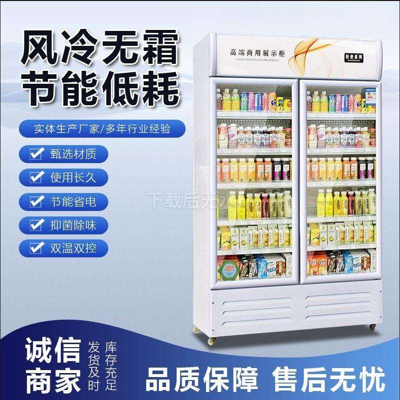 啤酒柜展示柜商用冷饮柜超市酒吧保鲜柜饮料冰柜冷藏双门展示柜
