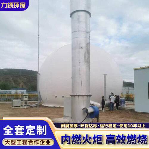 厂家低氮养殖场污水厂应急内燃式沼气火炬系统沼气燃烧火炬
