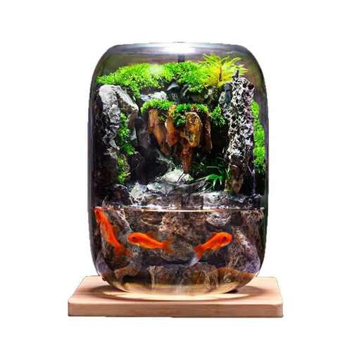 石上清泉流水款养鱼缸真植物苔藓微景观生态瓶办公室成品室内送礼