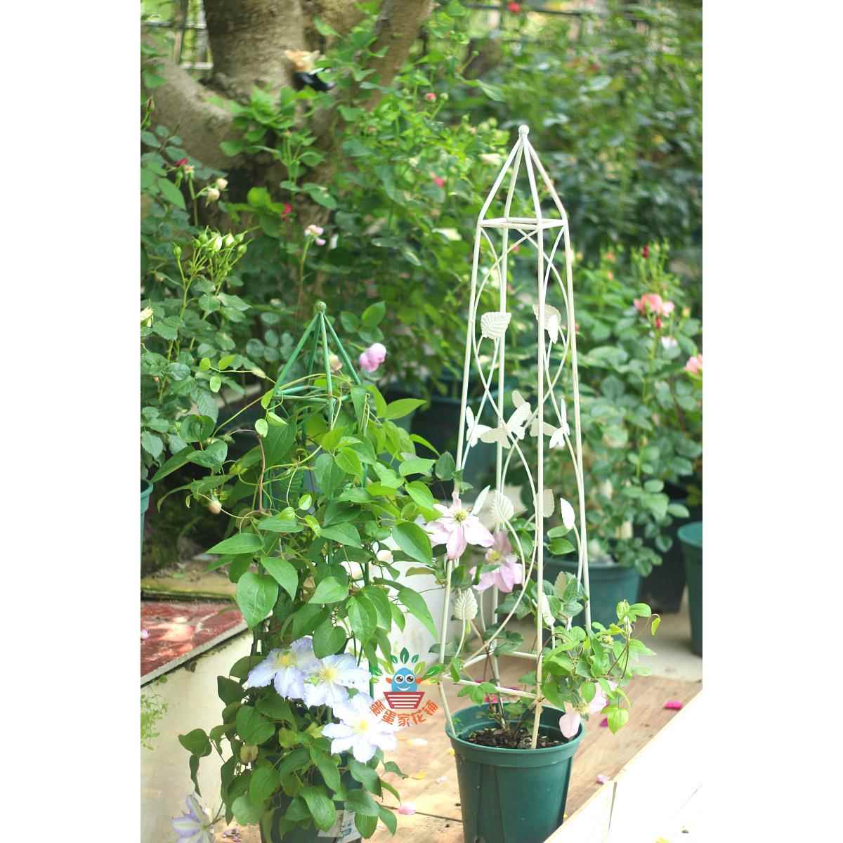 新款锥形花架 铁艺做旧田园风花盆架铁线 线莲藤月爬藤支架