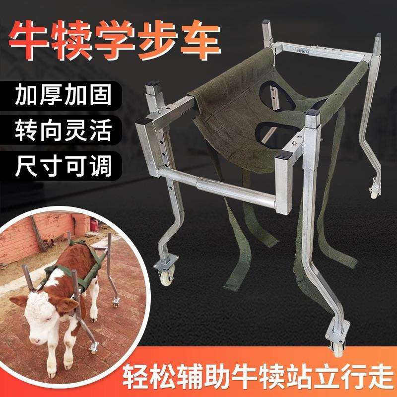 犊牛学步车小牛起立架加固加厚牛用走步支架站立架牛犊车
