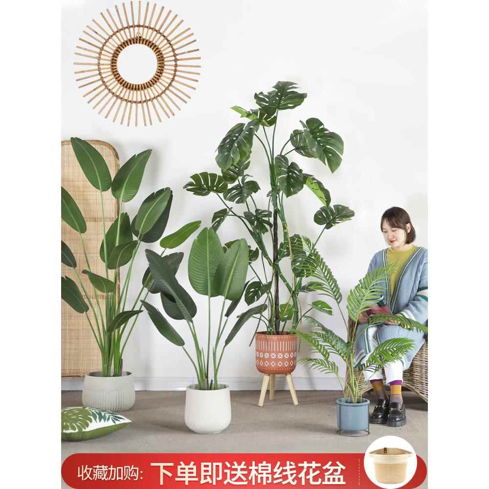 斯堪的纳维亚模拟绿色植物旅行者香蕉散落的尾巴向日葵假植物盆栽