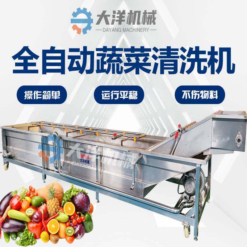全自动蔬菜清洗机鼓泡式加臭氧去农残304不锈钢薯条气泡清洗机器