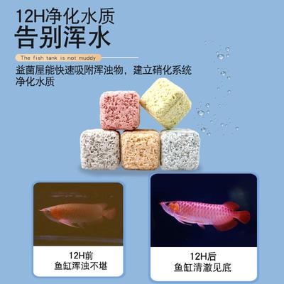 鱼缸过滤材料硝化细菌屋陶瓷环石英球鱼池净化水质过滤器专用滤材