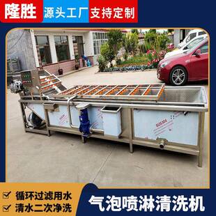 气泡果蔬清洗机 隆胜供应多功能水果蔬菜气泡式喷淋清洗机