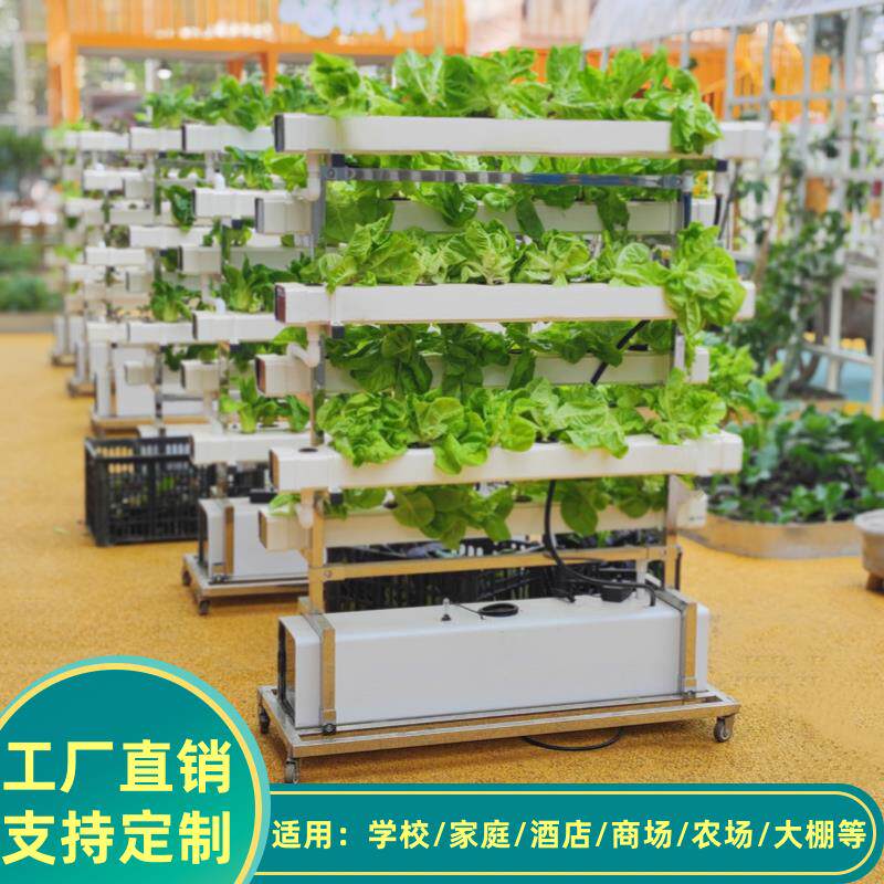 学校无土栽培蔬菜草莓种植双面垂直架水培设备阳台水耕多层种菜机