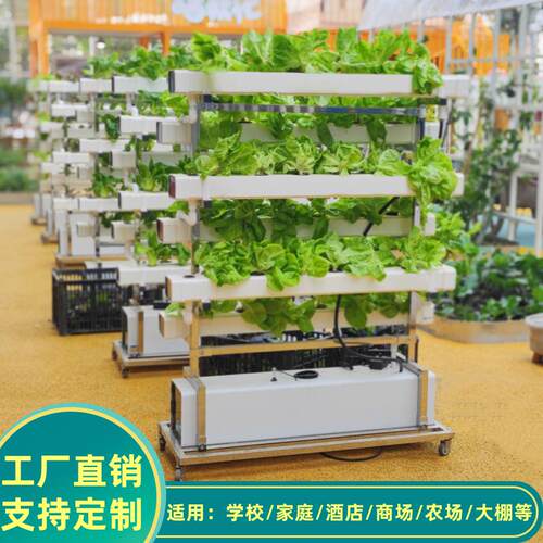 学校无土栽培蔬菜草莓种植双面垂直架水培设备阳台水耕多层种菜机