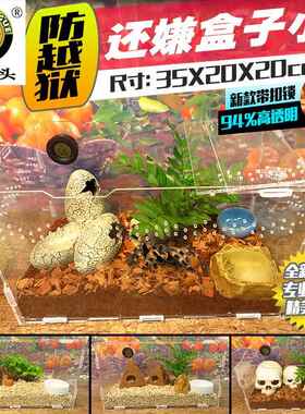 爬虫红火玫瑰蜘蛛亚克力饲养箱盒雨林蝎守宫蜈蚣宠物玉米蛇352020