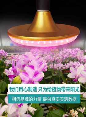 全光谱Led多肉补光灯家用室内绿色植物着色灯模拟日光温室植物生