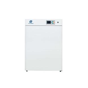 细胞培养箱 小型生物培养箱 上海右一DNP 9082电热恒温培养箱