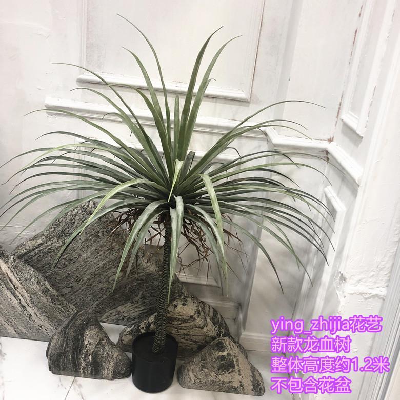 仿真植物盆栽铁树龙血树丝兰鸟巢叶商场酒店田园绿植单只/束摆件