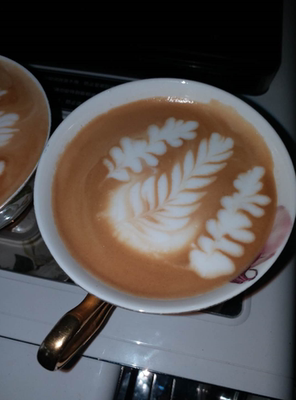 德颐 DE-320触屏一键花式咖啡机怎么样一个月后开始后悔了诉说原因