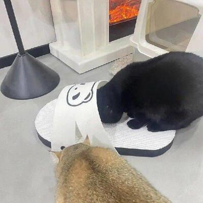 Scratchers Board For Indoor Cats Pet Kitten Solid Slippers