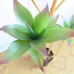 仿生睡莲大型仿真绿植盆栽室内落地客厅装饰假树仿真龙舌兰盆景