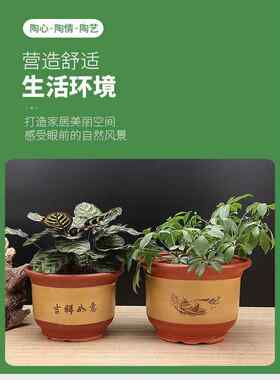 采购产品陶瓷花盆，好看的花盆，特价，优质紫砂红平口，特大型盆