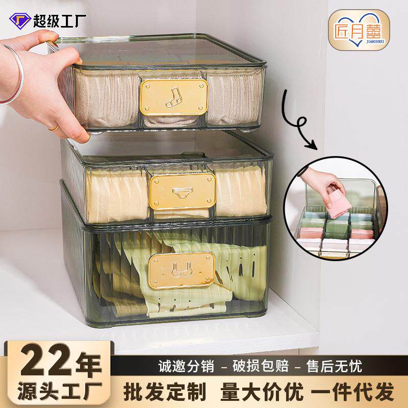 内衣收纳盒塑料宿舍带盖内衣盒多功能轻奢文胸袜子内裤整理盒衣柜