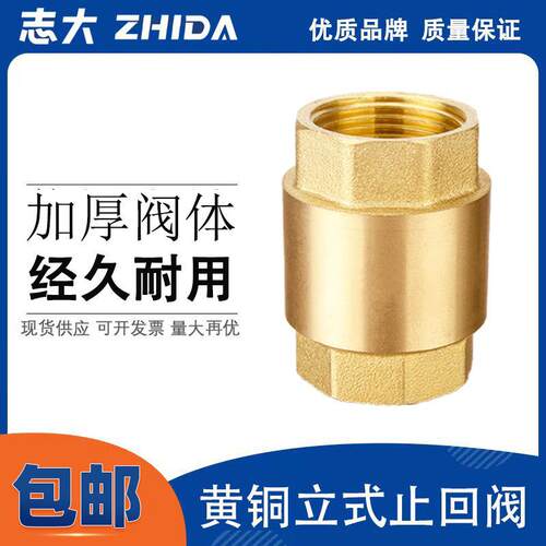 全铜立式止回阀 4/6分1寸 卧式逆止阀内丝水管道水表热水器止逆阀