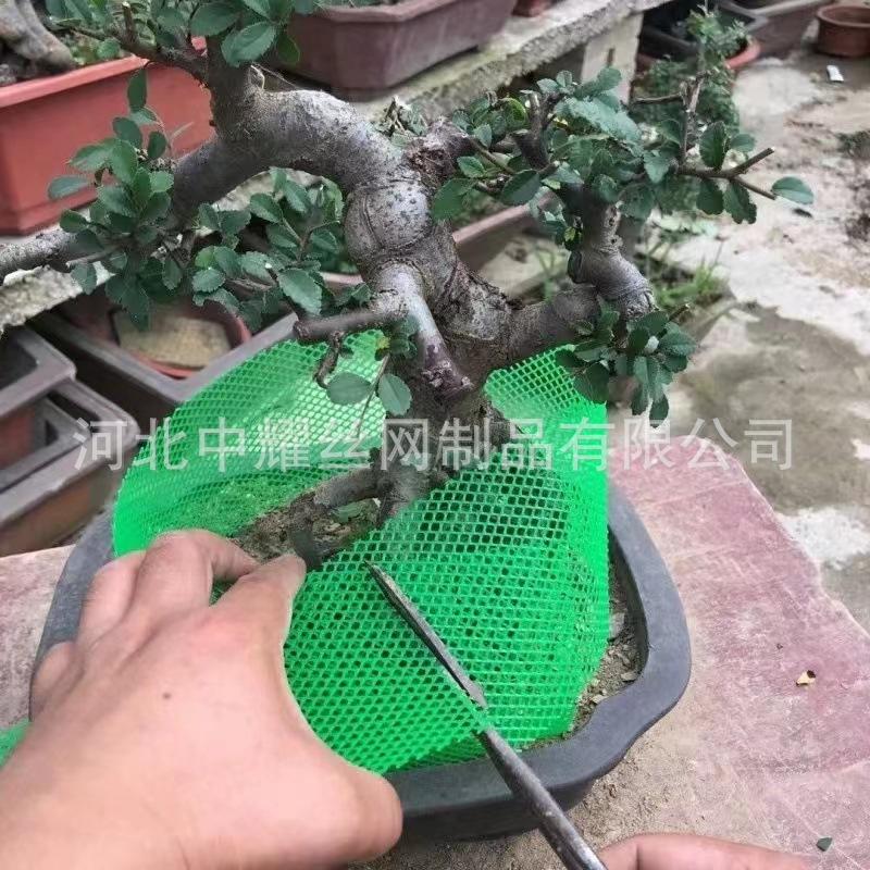盆景高培加高围栏围网围网养鸡网