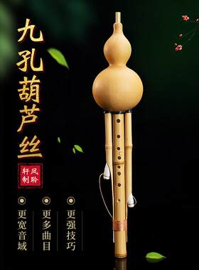 凤聆轩云南九孔葫芦丝金丝竹降b调c调G调F调专业演奏型胡芦丝乐器
