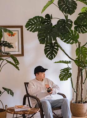 掬涵彷真绿色植物龟背芋客厅办公室彷生室内植物盆栽摆件落地装饰