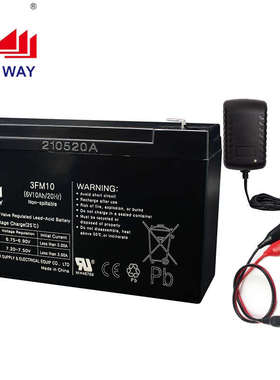 LONGWAY龙威儿童电动车电池6V10ah3FM10地磅吊秤电瓶摩托车大容量