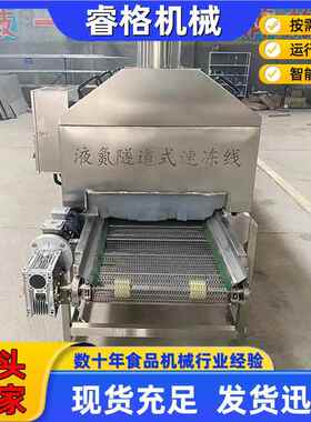 冷鲜海鲜液氮速冻机面 全自商用食速冻线 果蔬速肉547动冻流水线