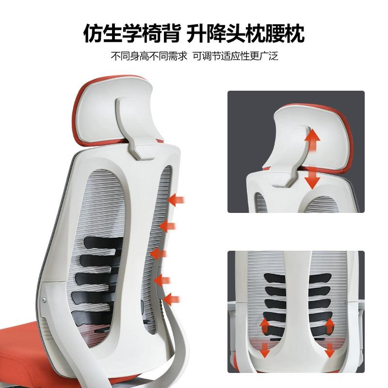 人体工学椅办公座椅可躺电脑椅家用舒适久坐护腰卧室靠背