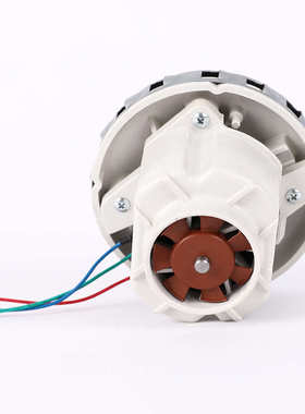 干磨机吸尘ZBL-DLAC无刷电机1200w 28kpa干湿汽修干磨机电