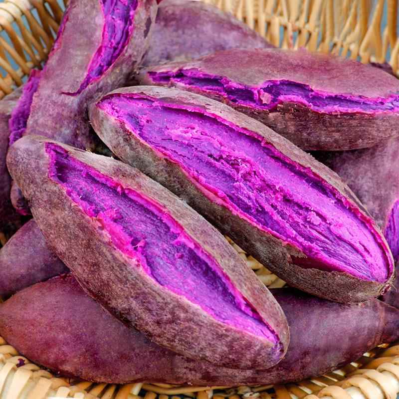 现挖紫薯新鲜农家自种紫心地瓜蜜薯番薯9斤香薯烟薯山芋板栗红薯
