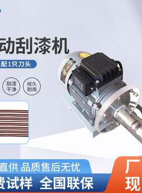 原厂直销漆包线剥漆机电机漆包线磨漆机大小线通用电动刮漆脱漆机