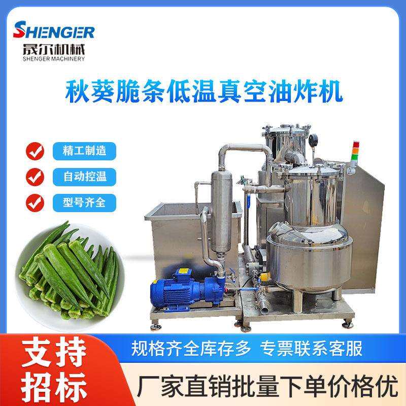 果蔬脆片油炸锅全自动香菇脆低温真空油炸锅秋葵脆条低温油炸炉
