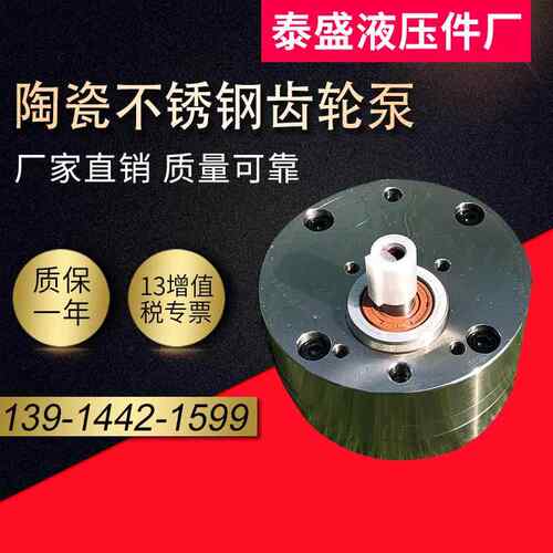 陶瓷不锈钢齿轮泵CBA-B16/B25/B32食品级耐酸碱CB-BNS化工BXG高温