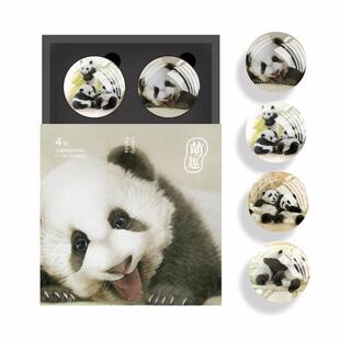 新款成都熊猫地文创念纪品装冰箱贴水晶玻璃装饰基磁贴中国盒风礼