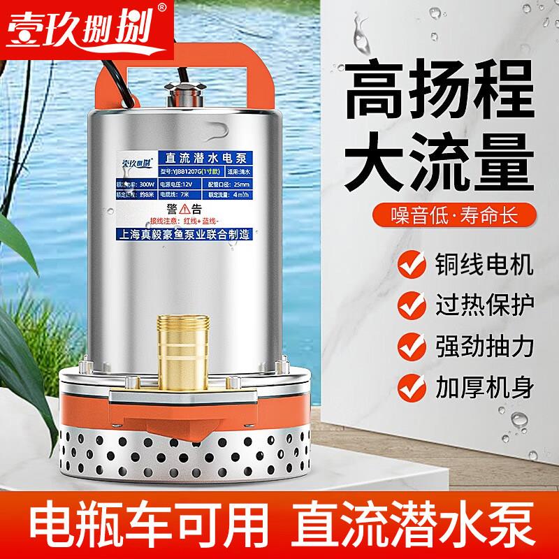 直流潜水泵高扬程大流量12V/24/48/60V电动车静音农用浇地清水泵
